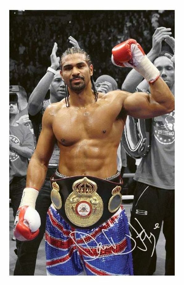 DAVID HAYE AUTOGRAPH SIGNED PP Photo Poster painting POSTER