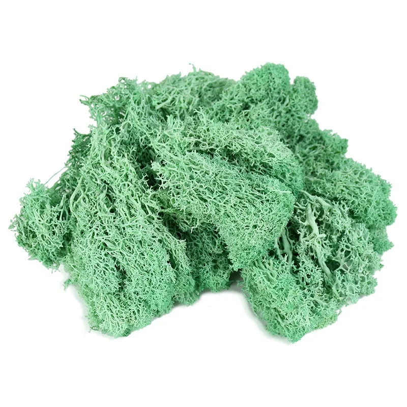 20g Artificial Plant Eternal Life Moss Garden Home Decoration Wall DIY Flower Material Mini Garden Micro Landscape Accessories