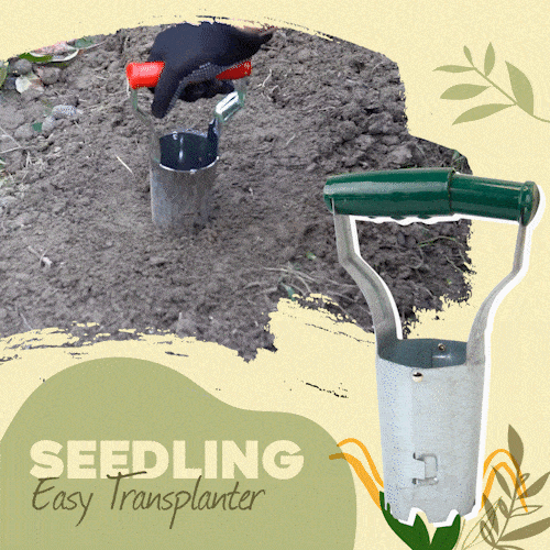 Seedling Easy Transplanter