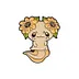 Amigo Axolote Sonriente