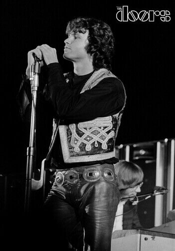 THE DOORS POSTER - JIM MORRISON ON STAGE - Photo Poster painting QUALITY INSERT -  POST!