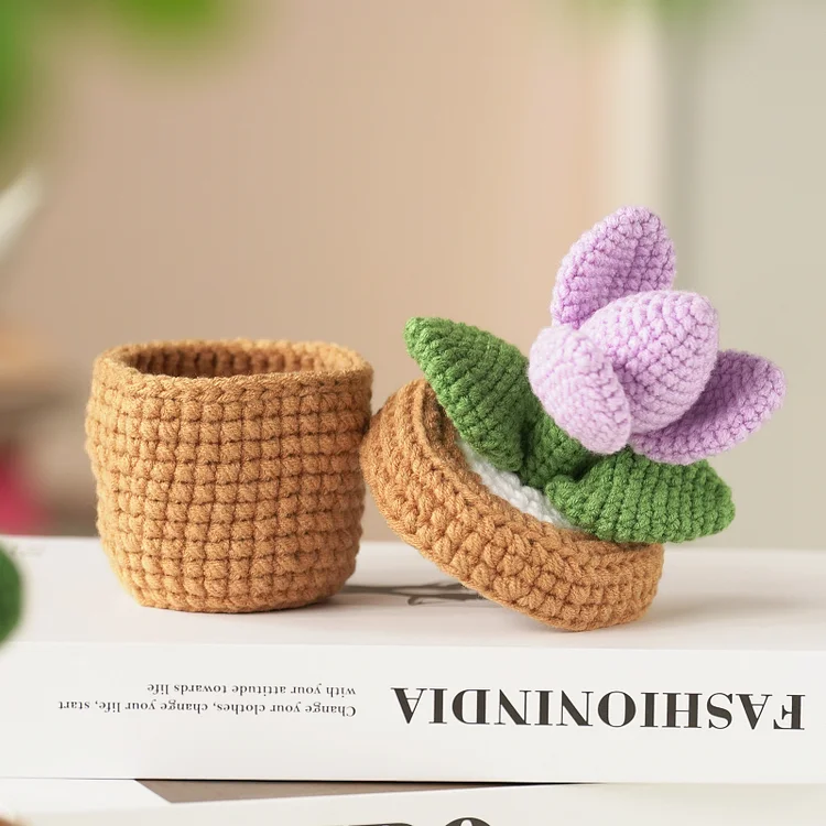 YarnSet - Crochet Kit For Beginners - Plant Organizer Ornament