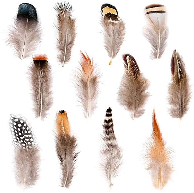 Guinea Fowl Feather Accessories for Hats