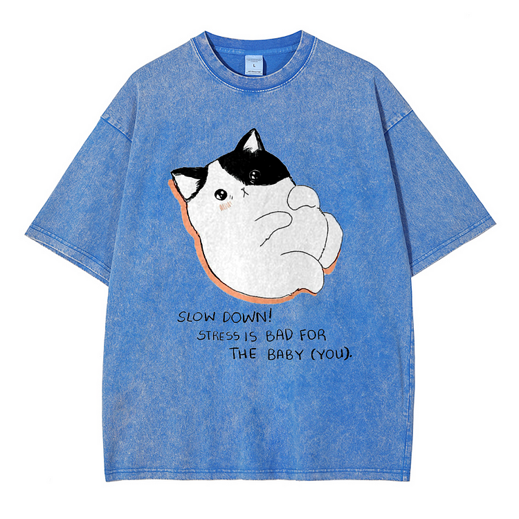 Slow Down Men's washed T-shirt