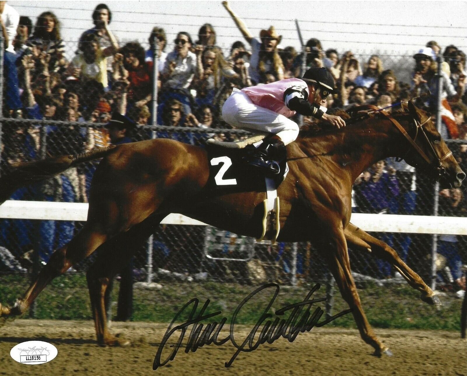 Steve Cauthen Triple Crown Horse Jockey signed 8x10 Photo Poster painting Affirmed 8 JSA