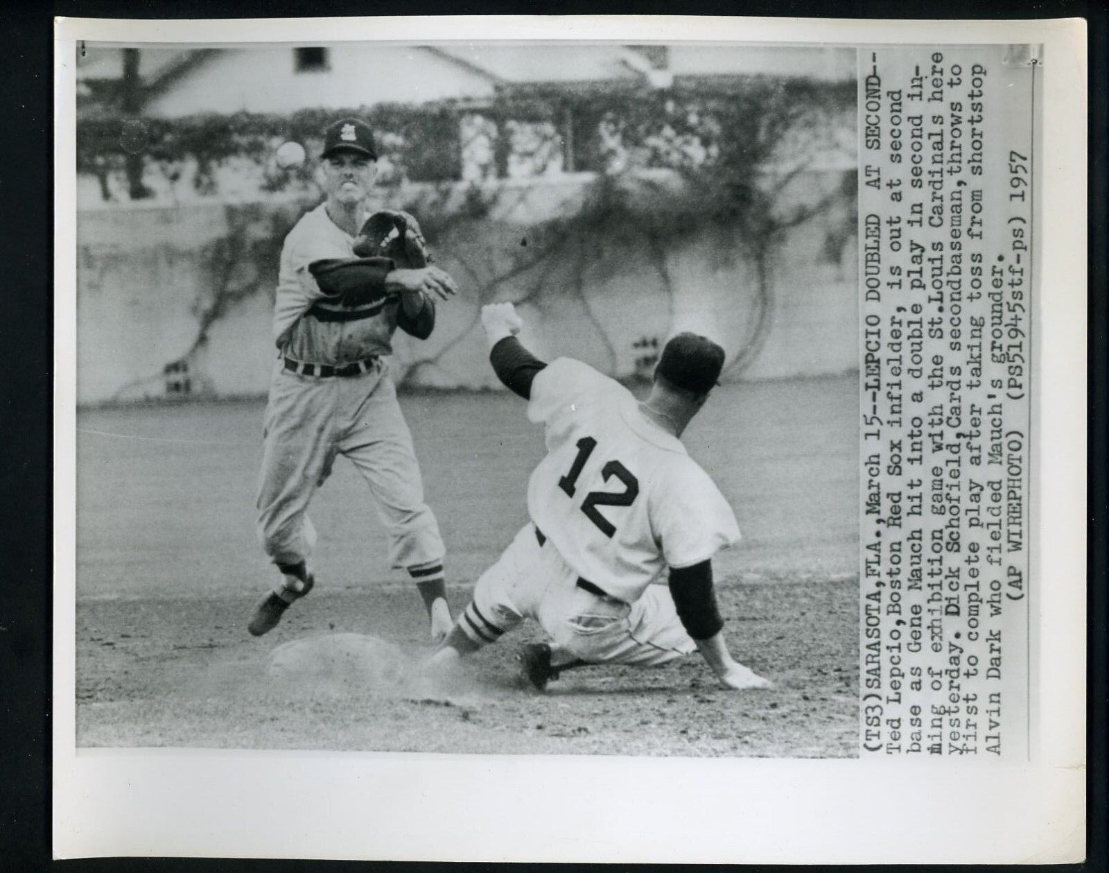 Dick Schofield & Ted Lepcio 1957 Press Photo Poster painting St. Louis Cardinals Boston Red Sox