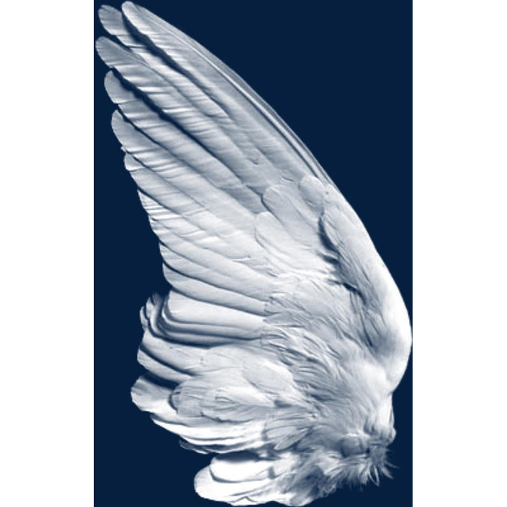 

Wing - Round Drill Diamond Painting - 30*40CM, 501 Original