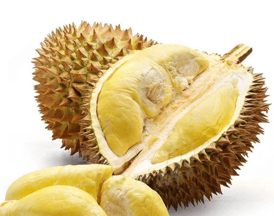 Durian Fruit Plant Seeds