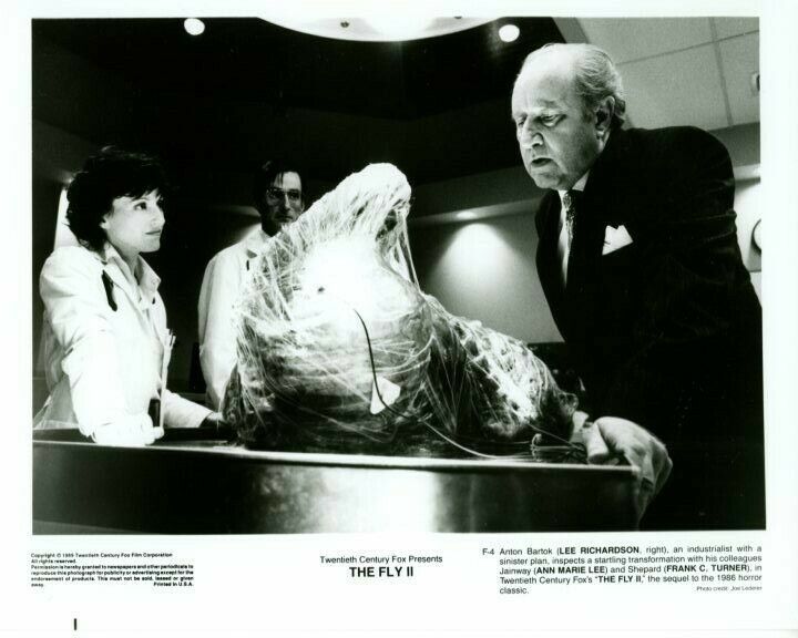 Ann Marie Lee Lee Richardson The Fly 2 Original Press 8X10 Photo Poster painting