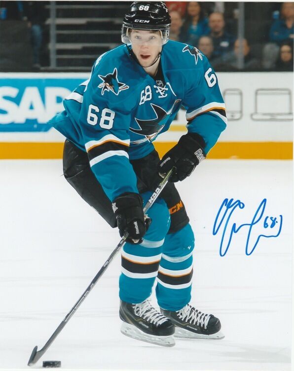 San Jose Sharks Melker Karlsson Signed Autographed 8x10 NHL Photo Poster painting COA F