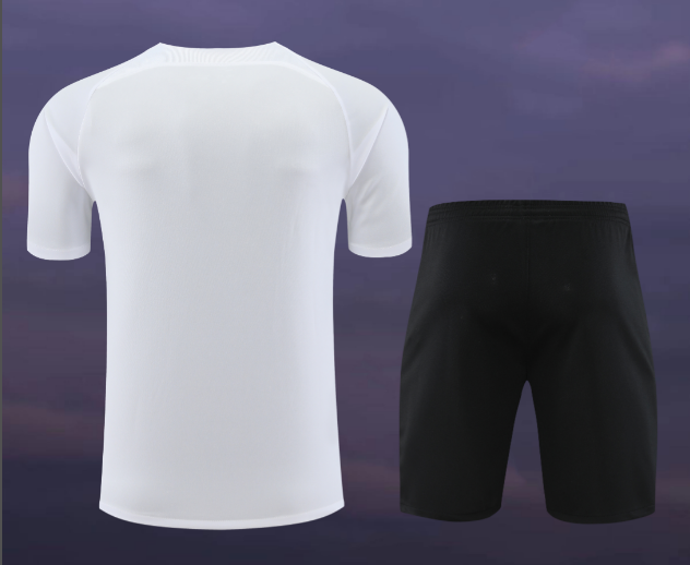 23/24 PSG Paris Saint Germain Short Sleeve Training Kit Thai Quality