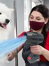 Violent Fan Handheld Air Dryer Lightweight Car Dryer for Cars Computer Keyboards