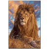 Male lion | Full Round Diamond Painting Kits