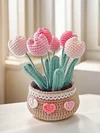 DIY Flower Potted Crochet Kit with Video Tutorial Cute Plants Hand-Knitted Tool