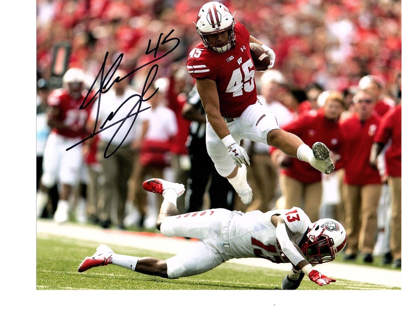 Alec Ingold Wisconsin Badgers signed autographed 8x10 football Photo Poster painting e