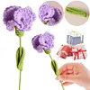 (Finished Product)Crochet Carnation Artificial Carnation Exquisite Aesthetic for Gift Home Office Decor