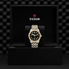 Tudor Black Bay 39 S&G