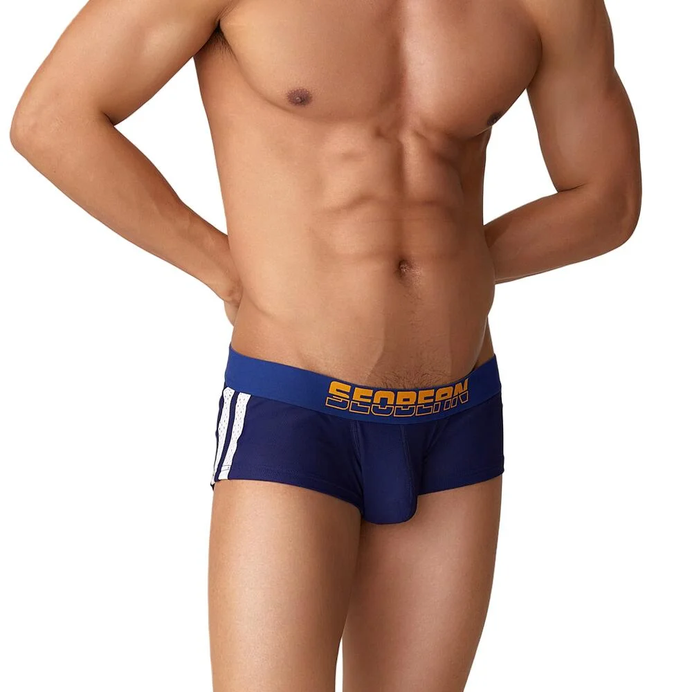 Thanksgiving Day Gifts Mesh Breathable Men's Boxer Underwear Underpants  Men Lingerie Boxershorts Male Panties Boxer Shorts