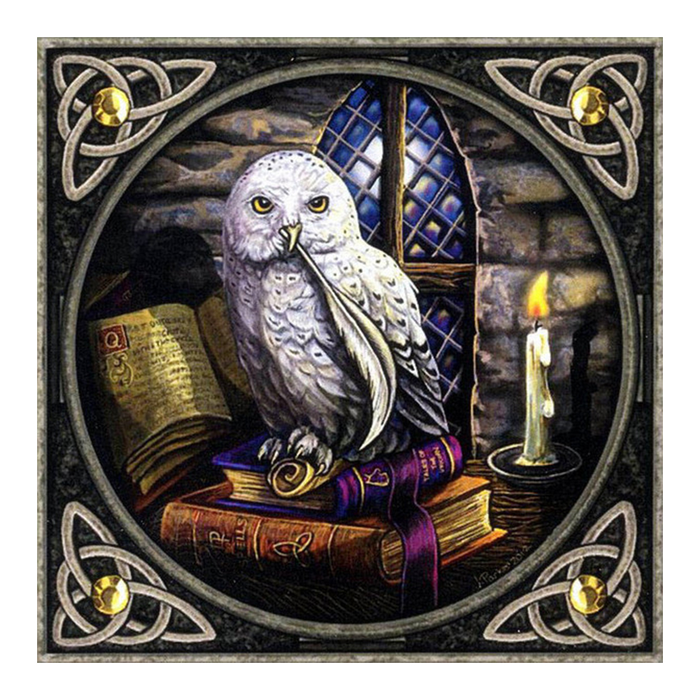 

Owl - Round Drill Diamond Painting - 30*30CM, 501 Original