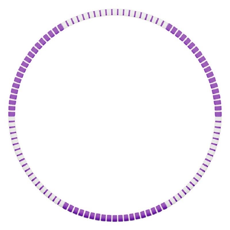 

Weighted Fitness Hoop 6 Section Detachable Exercise Hoop for Adults Kids, Purple, 501 Original