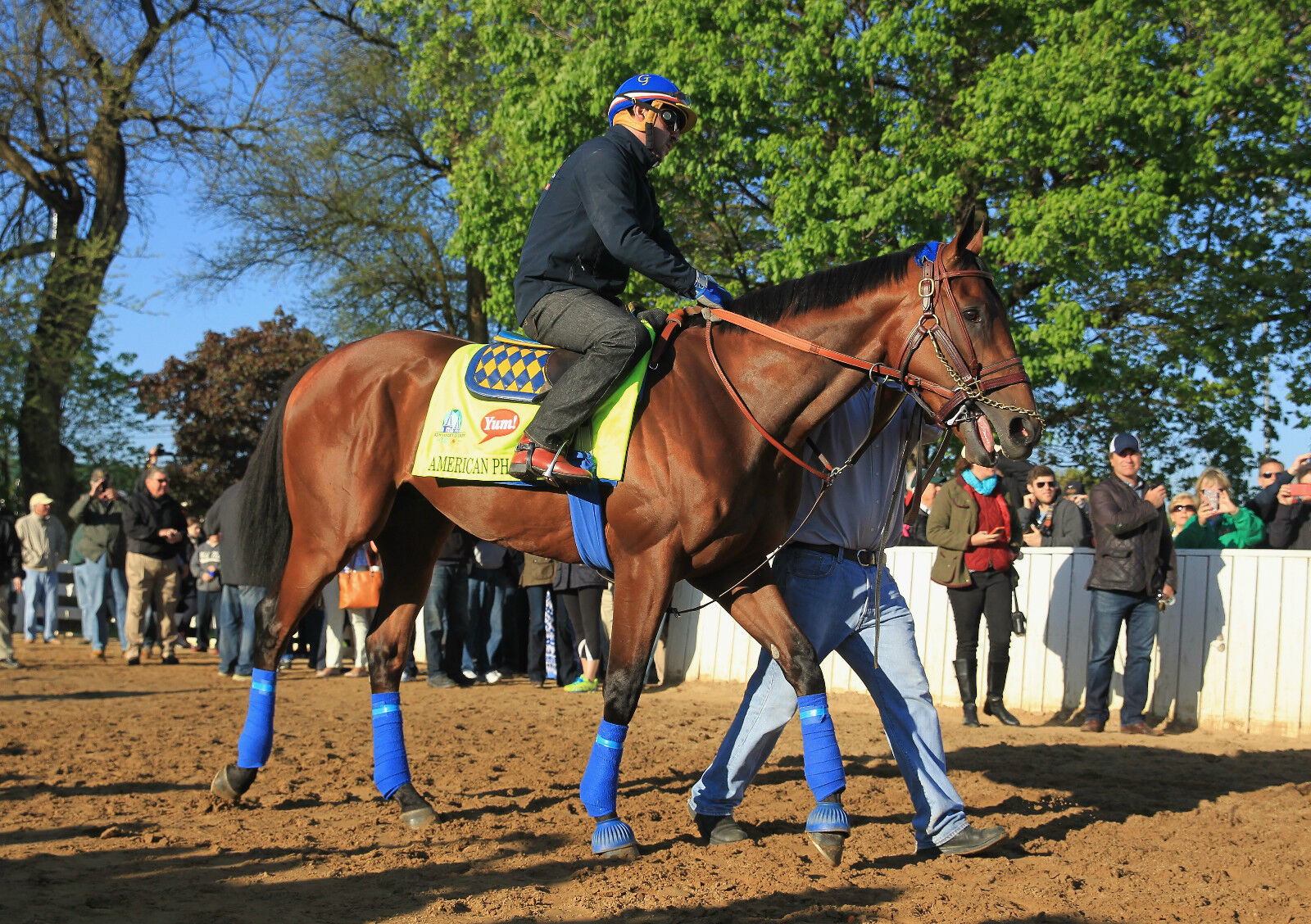 2015 Victor Espinoza AMERICAN PHAROAH Kentucky Derby Horse Racing 8x10 Photo Poster painting