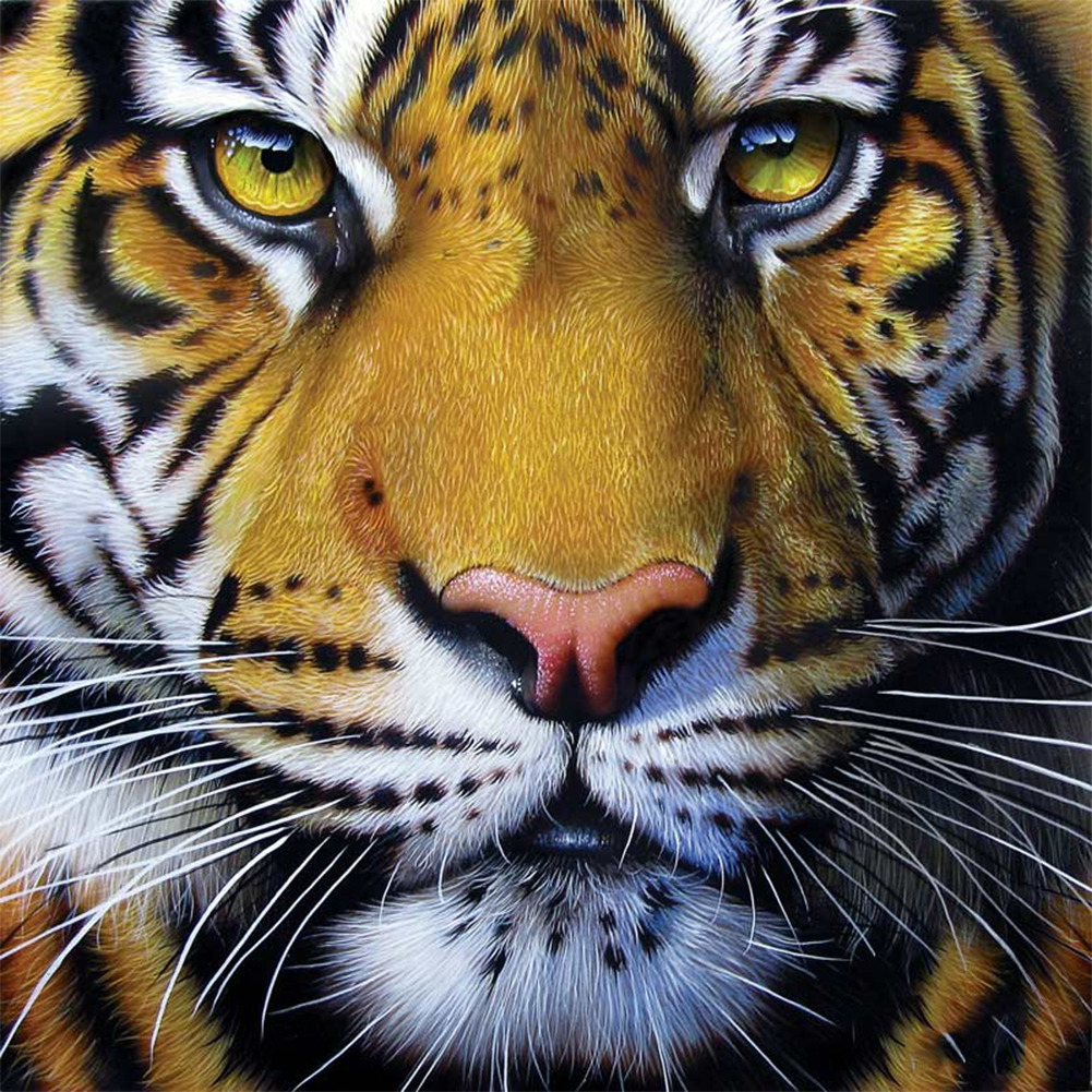 

Tiger-Round Drill Diamond Painting-30*30CM, 501 Original