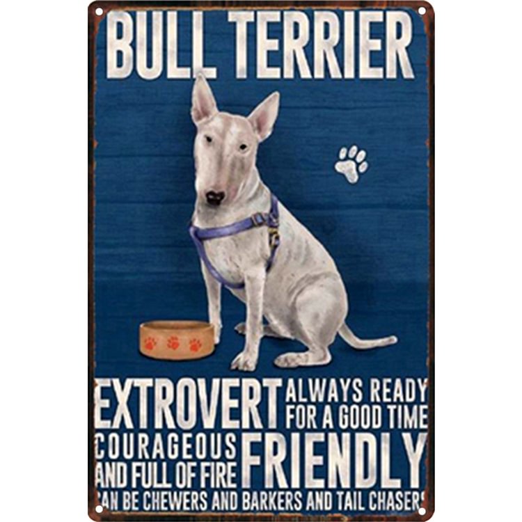 Bull Terrier Extrovert Friendly Dog - Vintage Tin Signs/Wooden Signs - 7.9x11.8in & 11.8x15.7in
