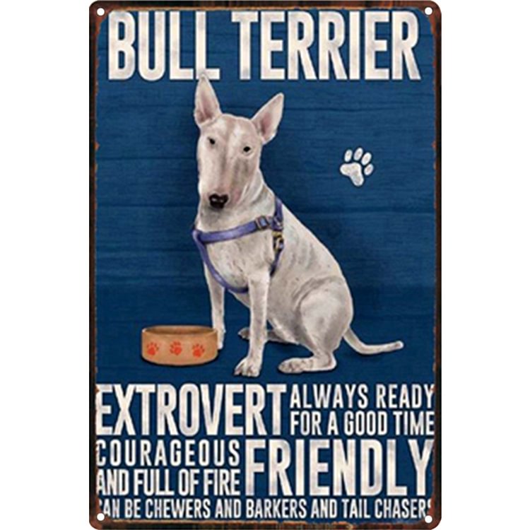 Bull terrier dog - Enseigne Vintage Métallique/enseignes en bois - 20*30cm/30*40cm
