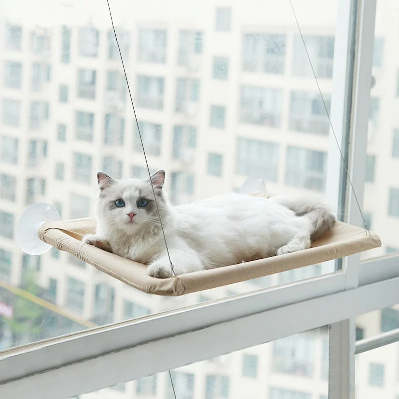 Cute Cat Window Hammock