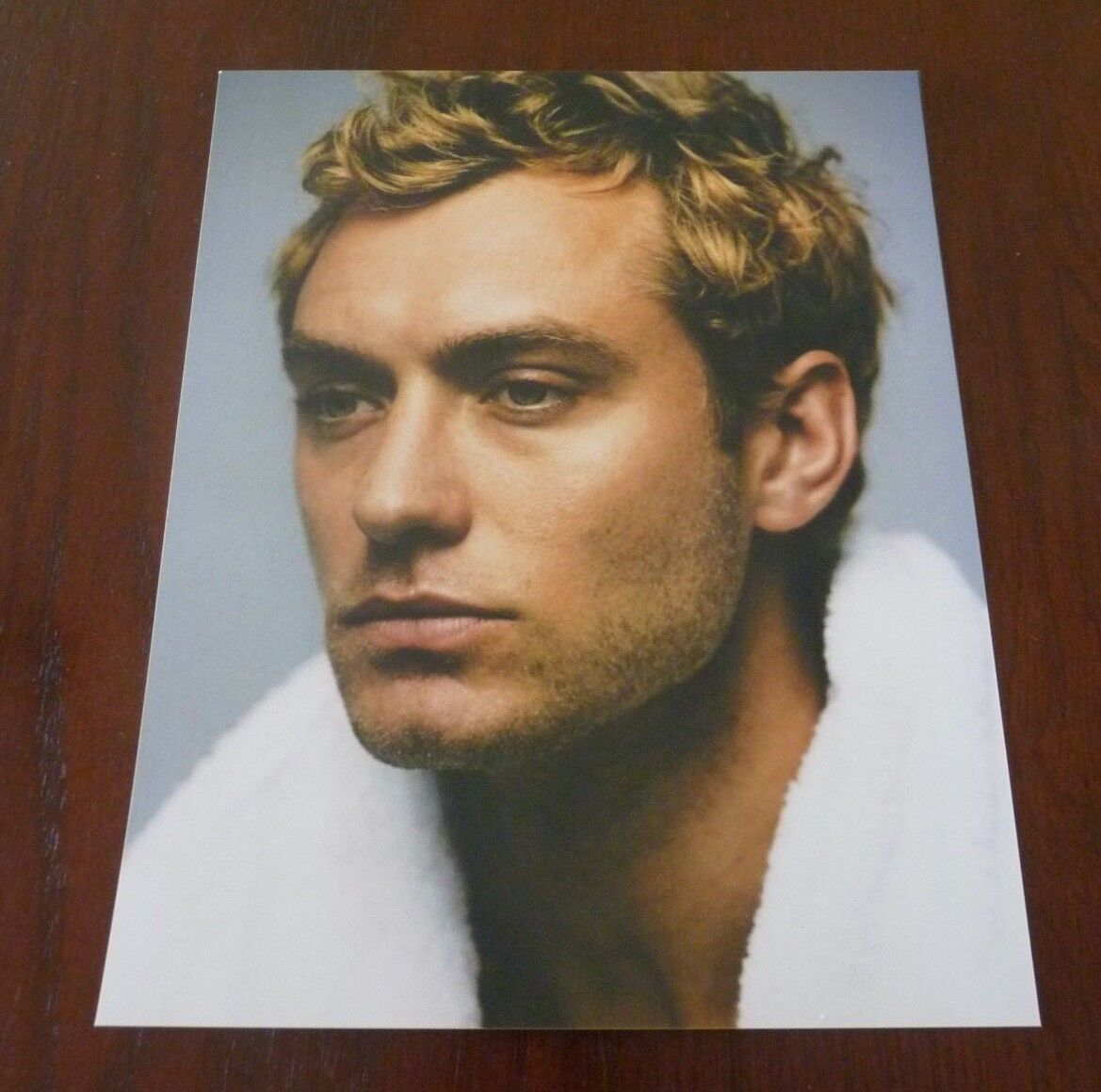 Jude Law Actor Sexy 8x10 Color Promo Photo Poster painting