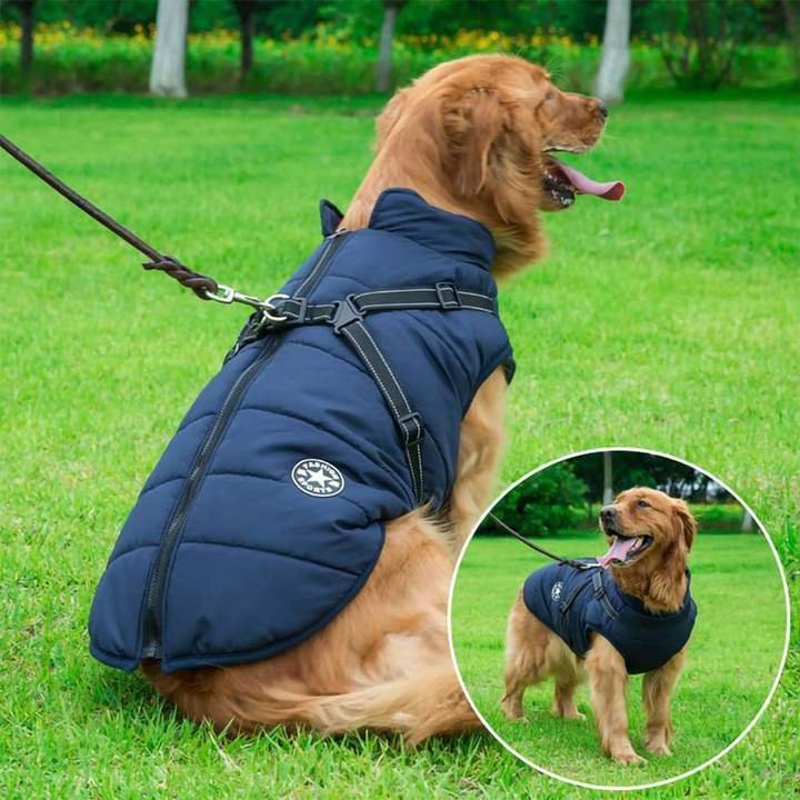Dog Winter Jacket Coat With Harness