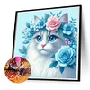 Blue-Eyed ragdoll chat-perceuse ronde peinture diamant-30*30cm