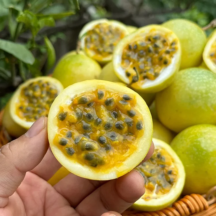 Passion Fruit Seeds