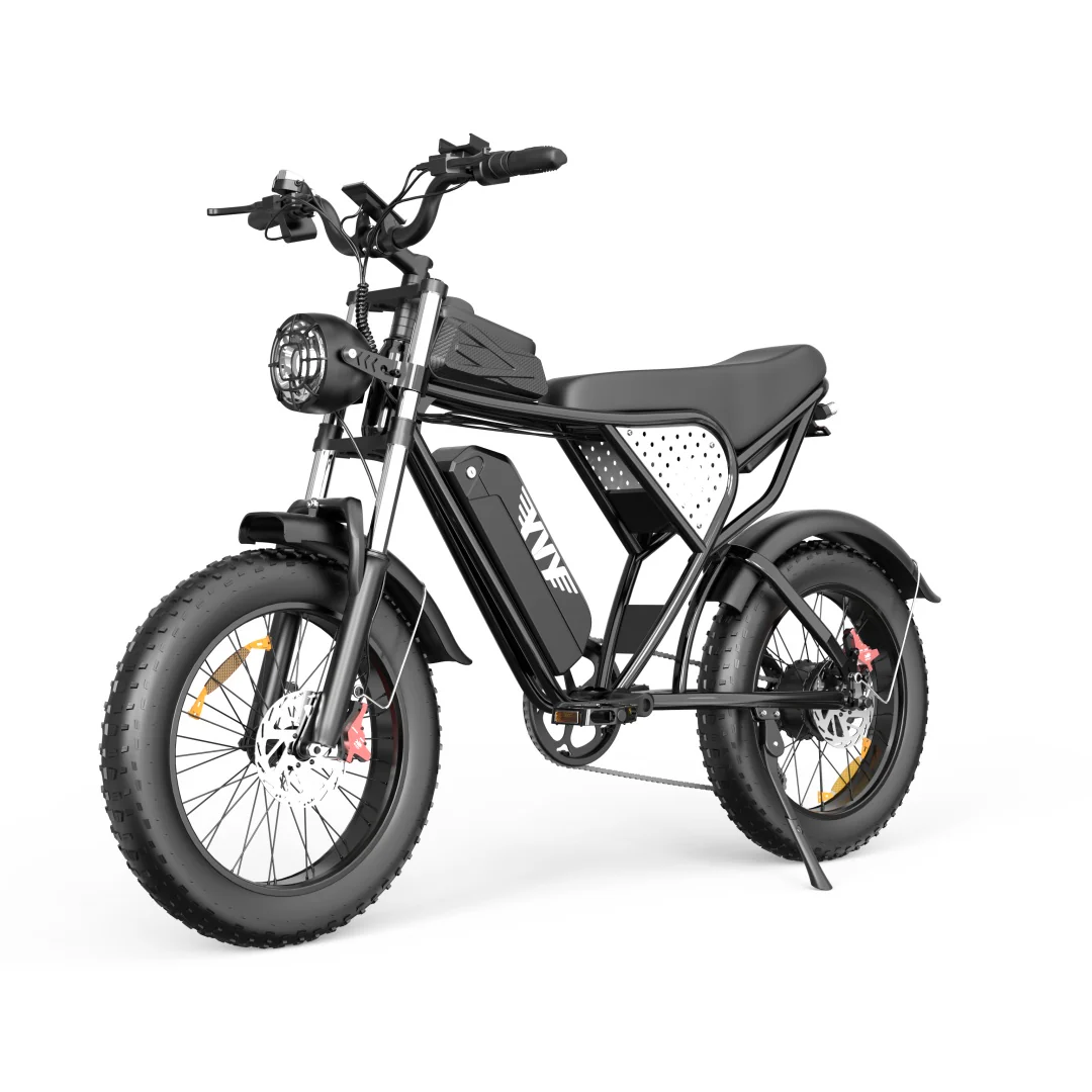 Ridstar YVY C20 Electric Bike1500W Motor 48V 20AH 20&times;4 Inch Fat Bike Tires