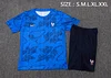 France 25/26 colorful blue Short-Sleeve Training Kit