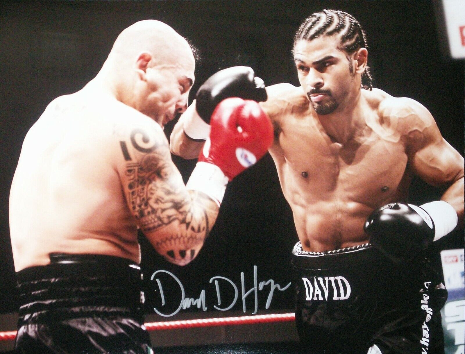 DAVID HAYE UNDISPUTED WORLD BOXING CHAMPION SIGNED 16X12 Photo Poster painting WITH COA & PROOF