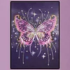 Peinture de diamant en forme de papillon-30*40cm