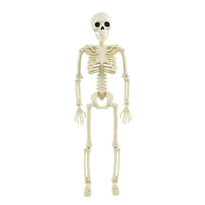 Cifeeo   Halloween 3D Simulation Skeleton Swingable Plastic Skeleton For Horror Bar Haunted House Home Decor Halloween Party Decoration