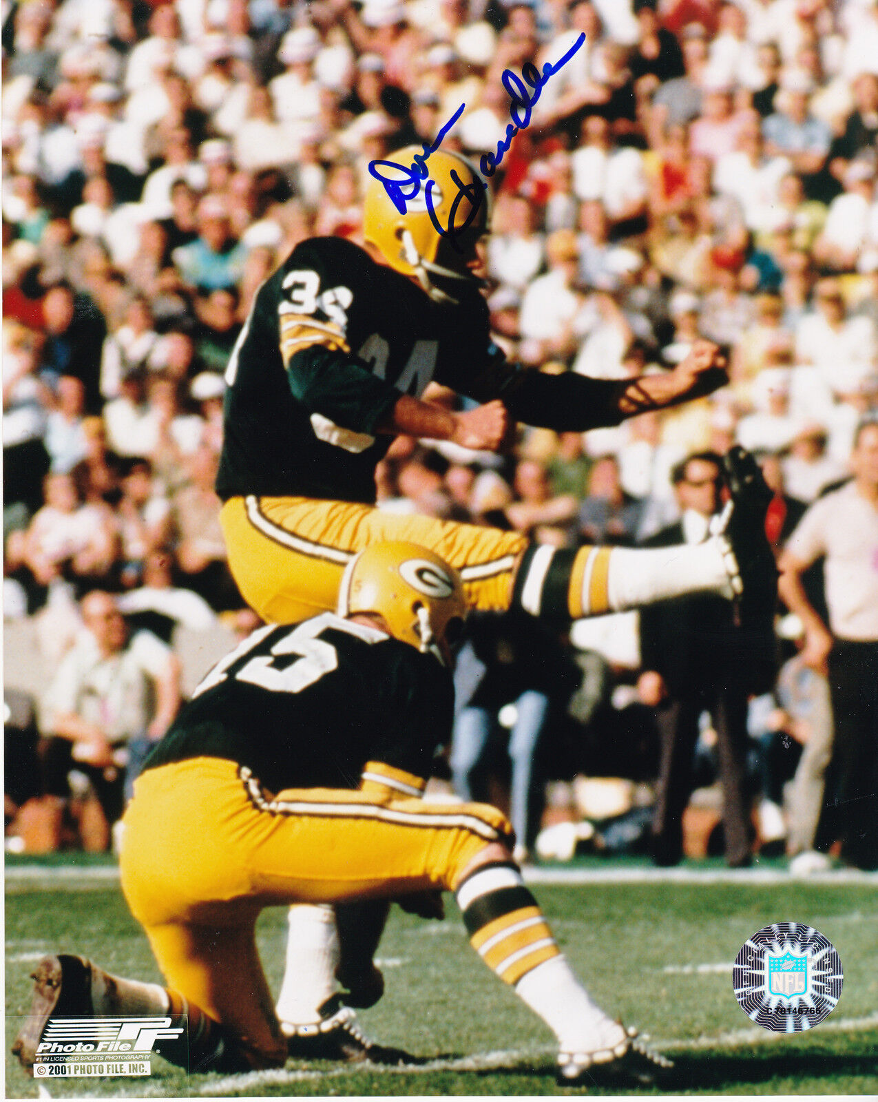 DON CHANDLER GREEN BAY PACKERS ACTION SIGNED 8x10