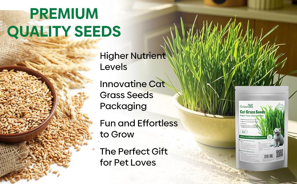 Grow Fresh Cat Grass Seeds at Home! Non-GMO Wheat & Oat Seeds Mix, USA-Grown, High Germination – Perfect for Indoor Cats