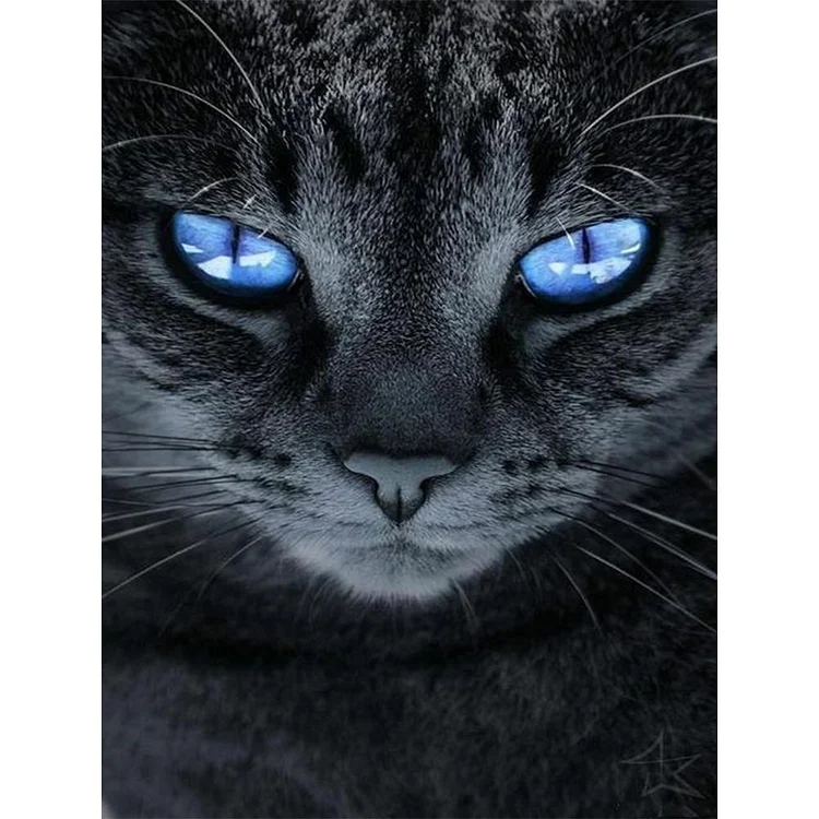 Sharp Cat - Full Round Drill Diamond Painting - 30x40cm(Canvas)