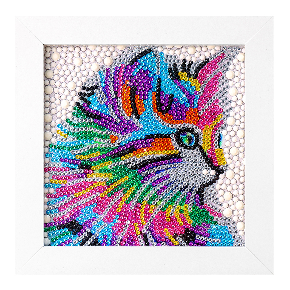 

15*15CM - Special Shaped Diamond Painting - Cat (With Frame), 501 Original