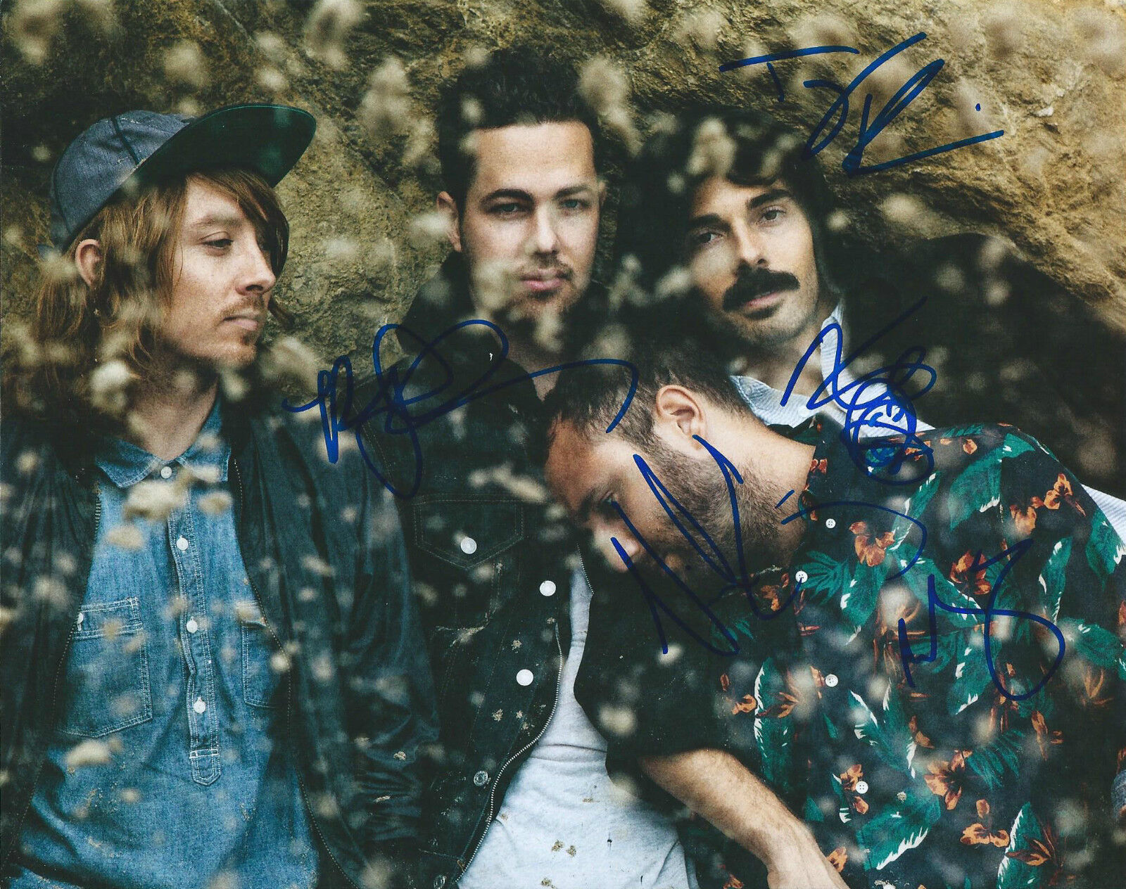 **GFA Indie Rock Band *LOCAL NATIVES* Signed 8x10 Photo Poster painting N3 COA**