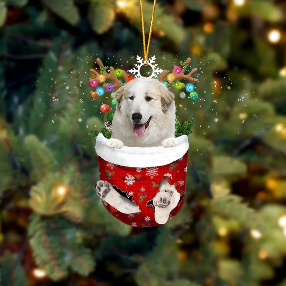 Pyrador In Snow Pocket Christmas Ornament.