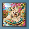 Seaside Maltese Special Shaped 5D DIY Partial Drill Diamond Painting Kits for Adults Beginners Home Decor Diamond Dots Paintings Diamond Art Kit 11.81 x11.81inch