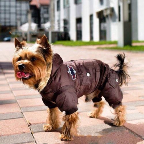 Warm Stylish Winter Dog Jacket Jumpsuit