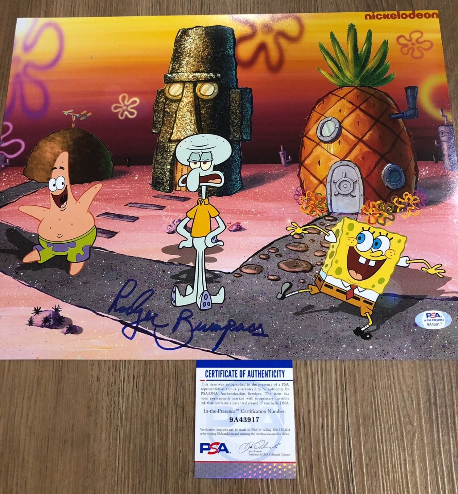 Rodger Bumpass Squidward Spongebob Squarepants Autographed 11x14 Photo Poster painting PSA D