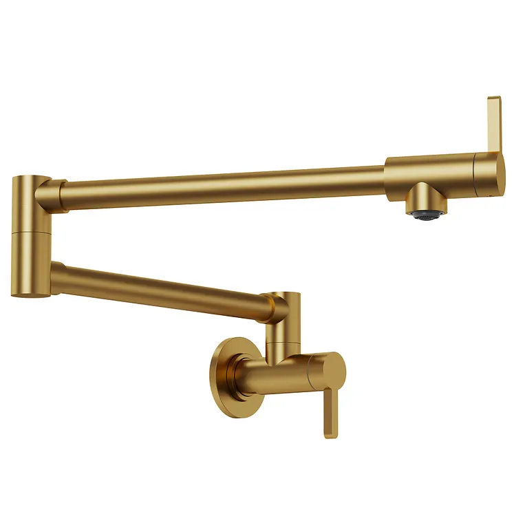 EVERSTEIN 2-Handle Wall Mount Pot Filler Kitchen Faucet in Brushed Gold
