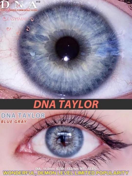 Beacolors DNA Taylor Blue Gray