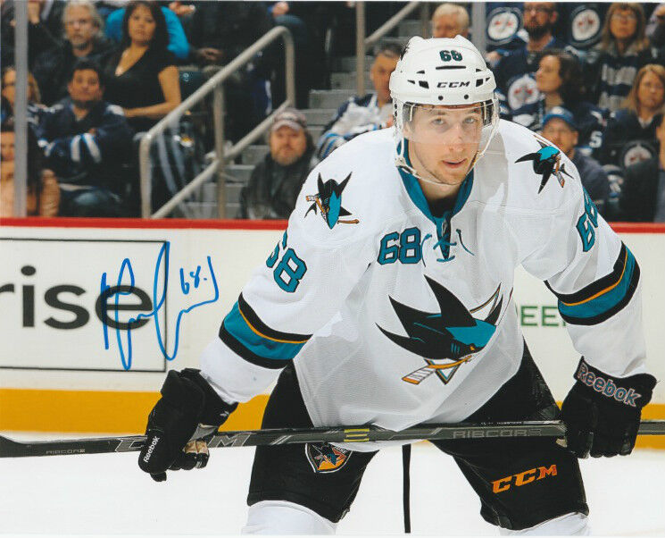 San Jose Sharks Melker Karlsson Signed Autographed 8x10 NHL Photo Poster painting COA B